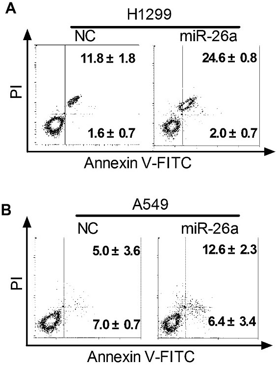 Application of mir-26a in non-small cell lung cancer