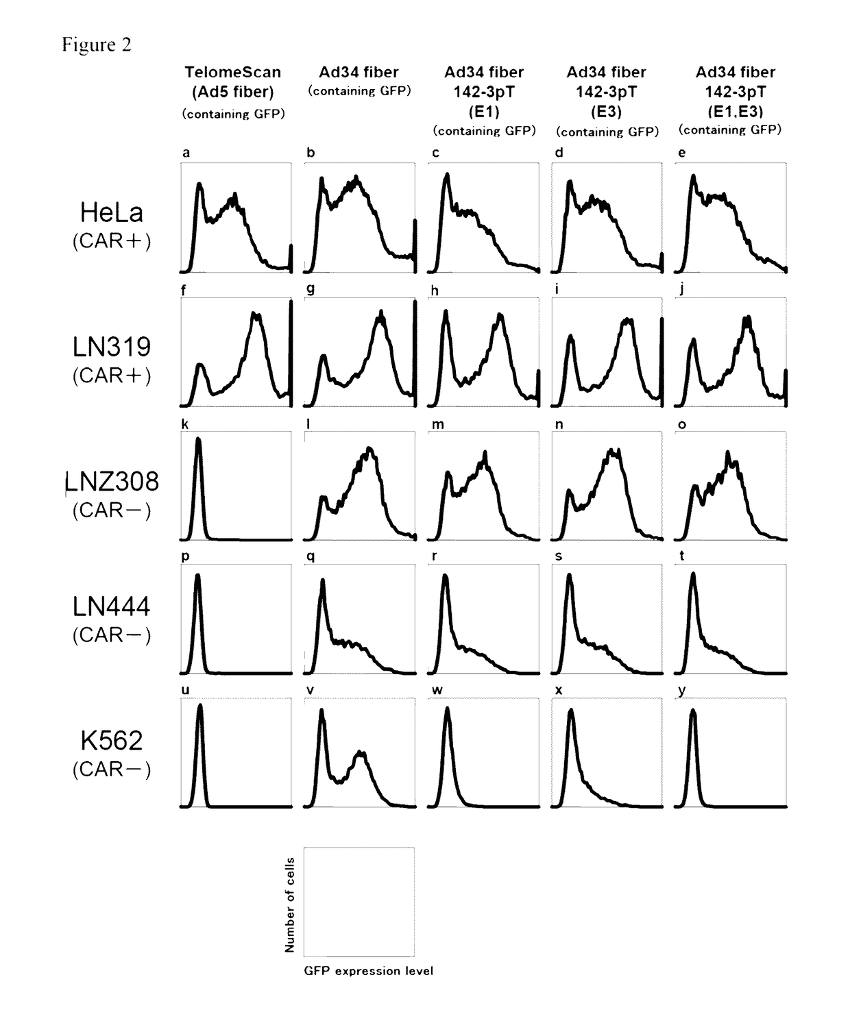 Conditionally replicating adenovirus