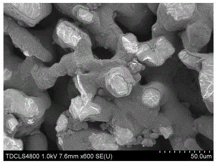 Preparation method for reinforced titanium matrix composite of three-dimensional network-shaped carbon nanotube