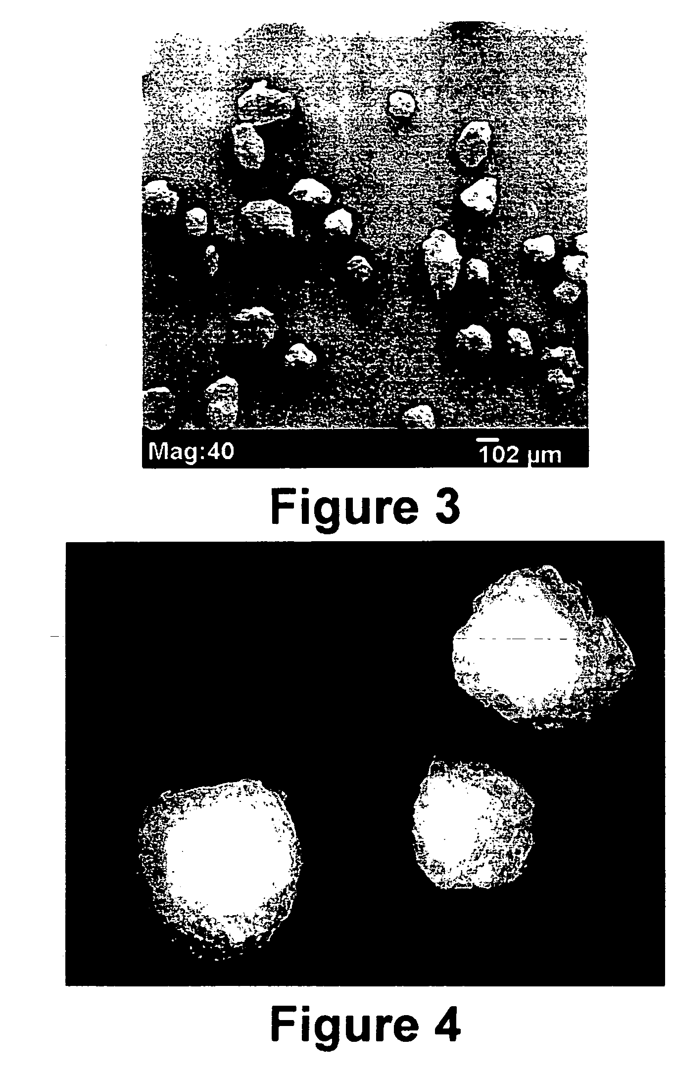 Flowable bone grafts