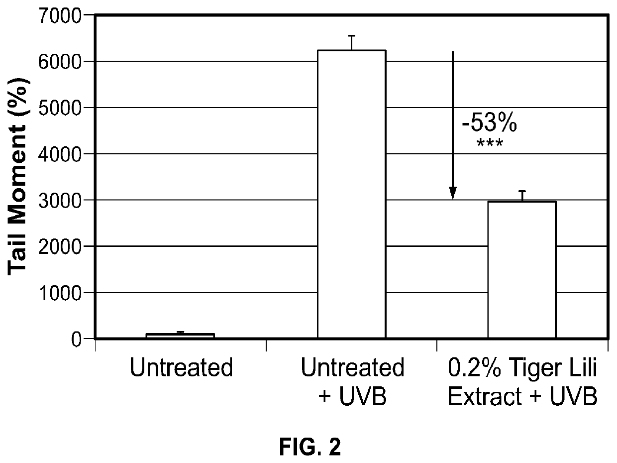 Topical composition comprising a small RNA tiger lily extract and method of cosmetic care to reduce skin signs of aging