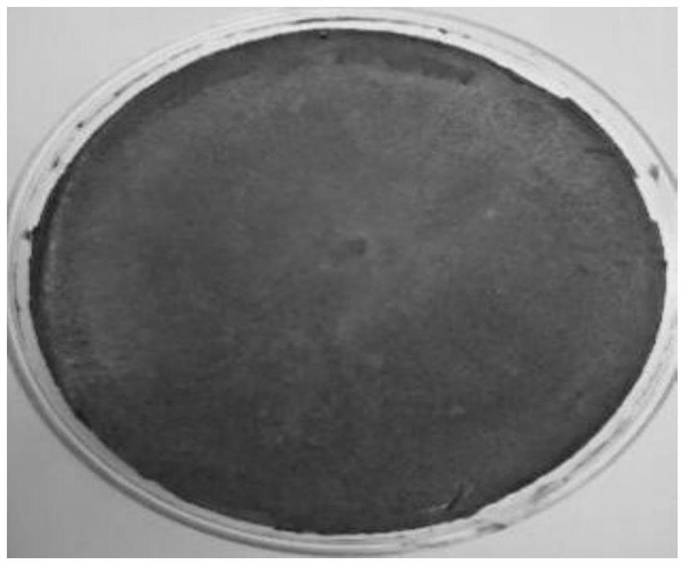 Application of gliocladium roseum NF-06 and conidia in inhibiting fusarium graminearum perithecium