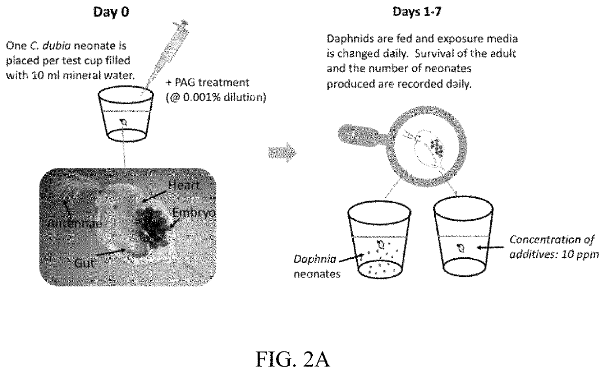 Ionic liquids containing quaternary ammonium  and phosphonium cations, and their use as environmentally friendly lubricant additives