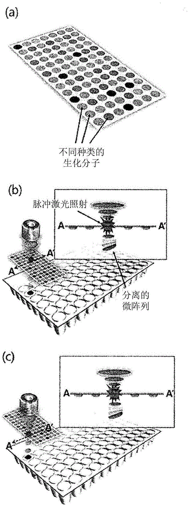 Method for isolating biochemical molecules on microarray substrate