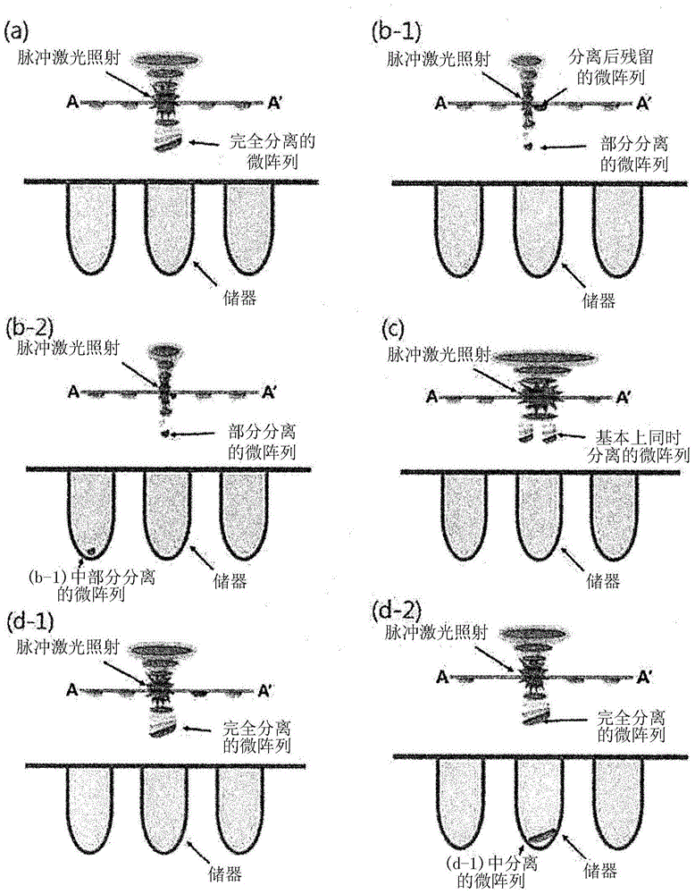 Method for isolating biochemical molecules on microarray substrate