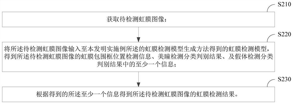 Model generation method and device and iris detection method and device