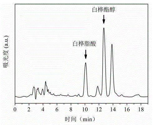 Method for extracting betulinic acid by subcritical water
