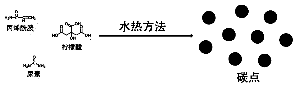 Room-temperature phosphorescent carbon dot material and preparation method and application thereof