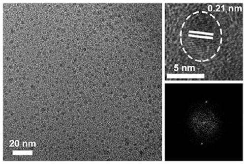 Room-temperature phosphorescent carbon dot material and preparation method and application thereof