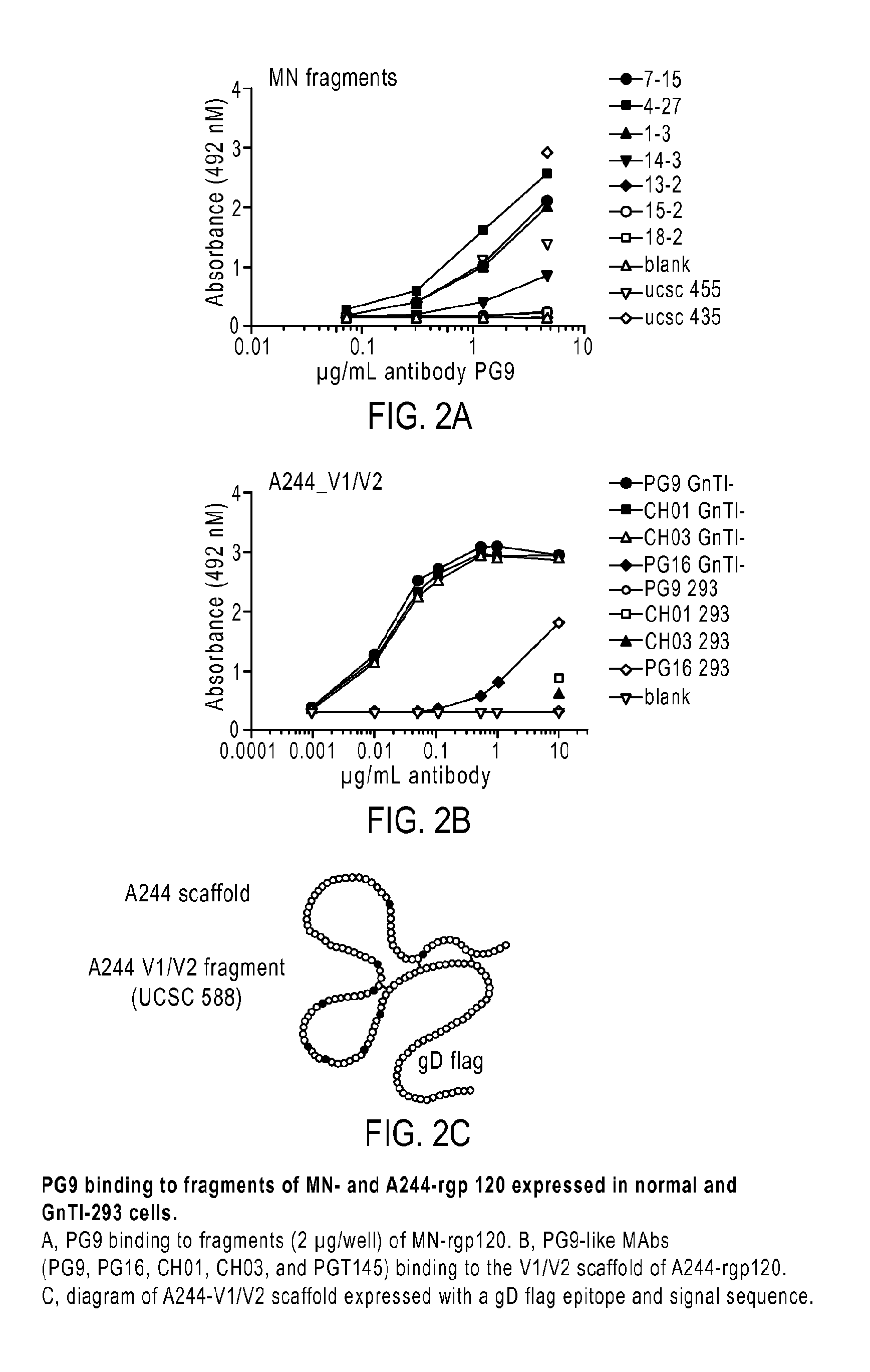 HIV-1 envelope proteins and fragments thereof that possess epitopes recognized by broadly neutralizing antibodies