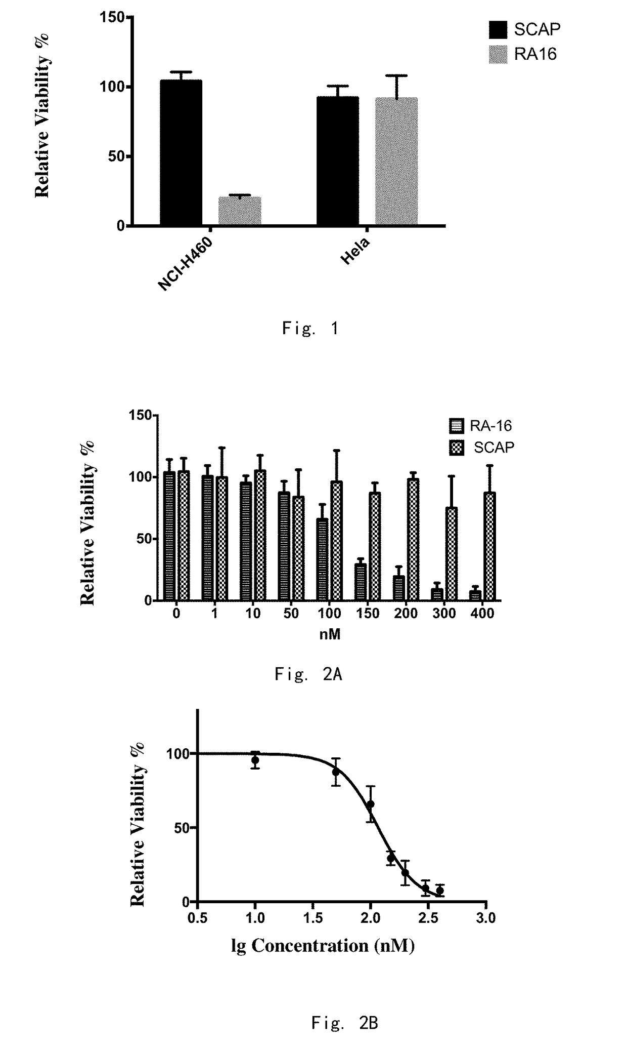 Ribonucleic Acid Aptamer Having Inhibitory Effect on Non-small Cell Lung Cancer and Pharmaceutical Composition Comprising Same