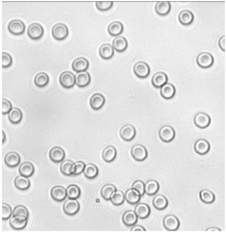 Multispectral micro-imaging field depth extension method and system