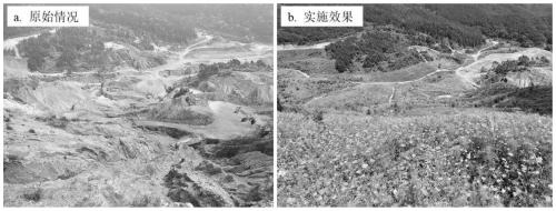 Vegetation recovery method for extremely acidified mine soil