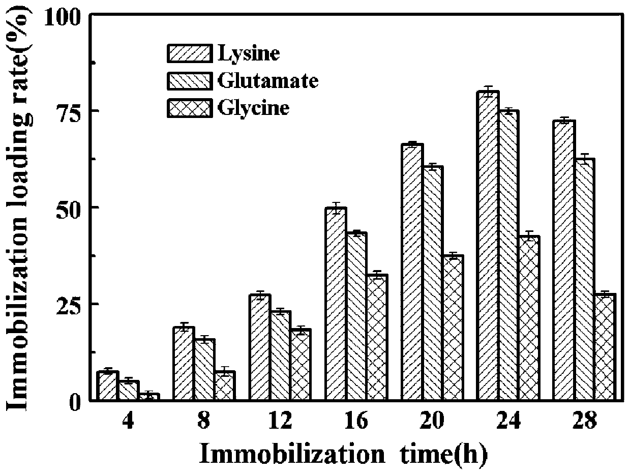 Multi-point immobilization method based on modification of enzyme with unnatural amino acid
