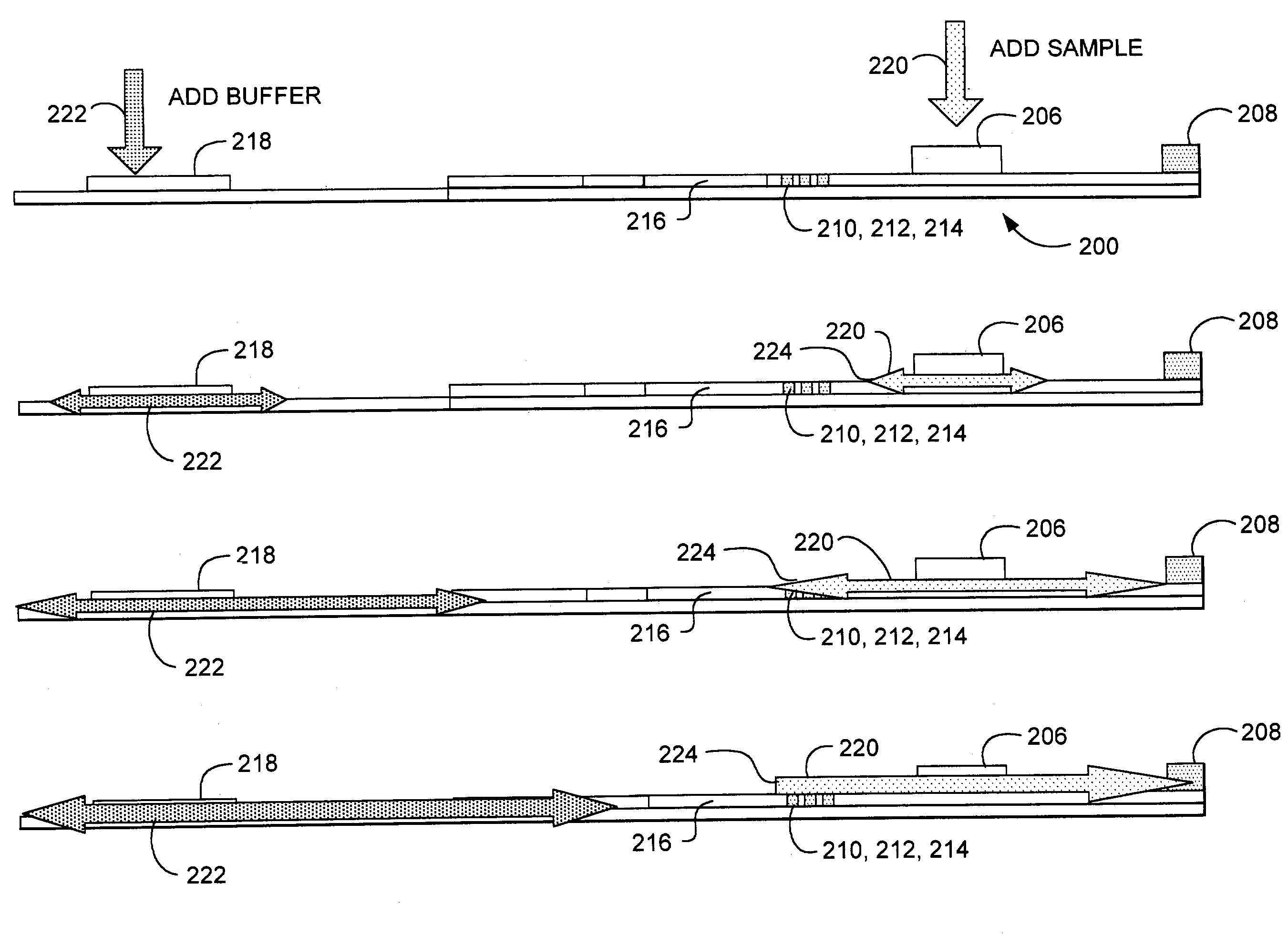 Bidirectional lateral flow test strip and method
