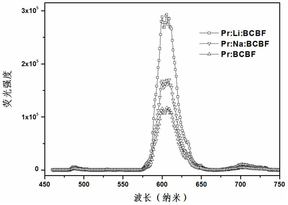 Rare earth doped barium calcium fluoborate laser crystal, preparation method thereof and method for realizing laser
