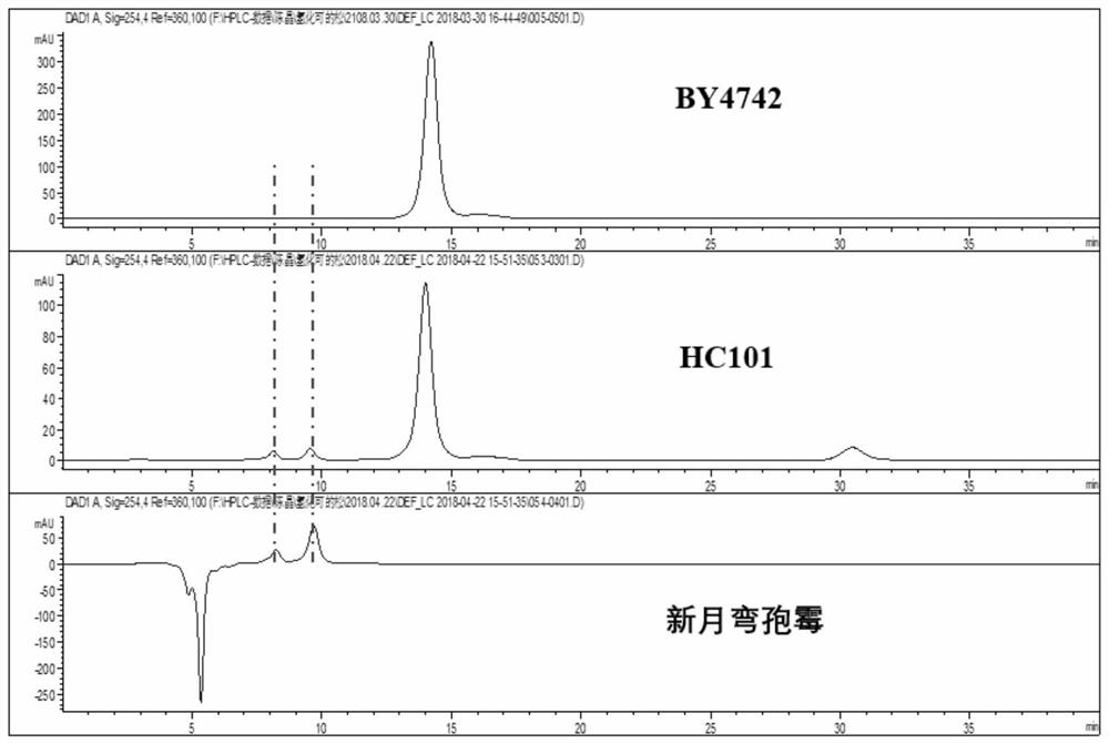 Steroidal 11β-hydroxylase from Curvularia lunae and its coding gene and application