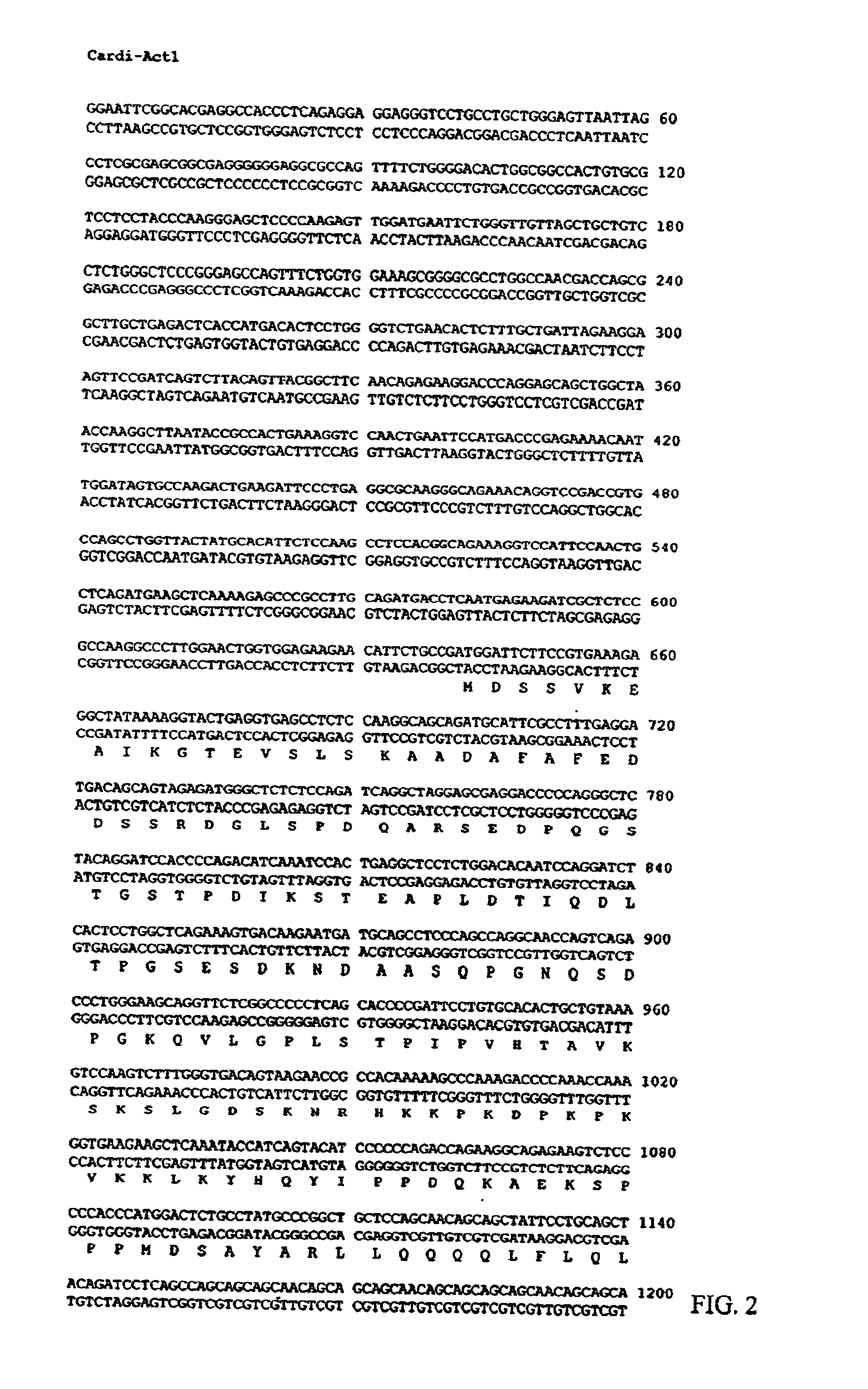 Methods and compositions relating to a cardiac-specific nuclear regulatory factor