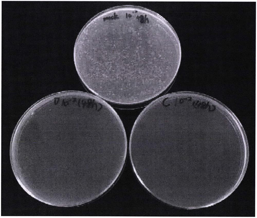 Phage and application thereof