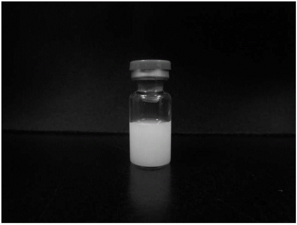 Stable vitamin K2 submicron emulsion and preparing method