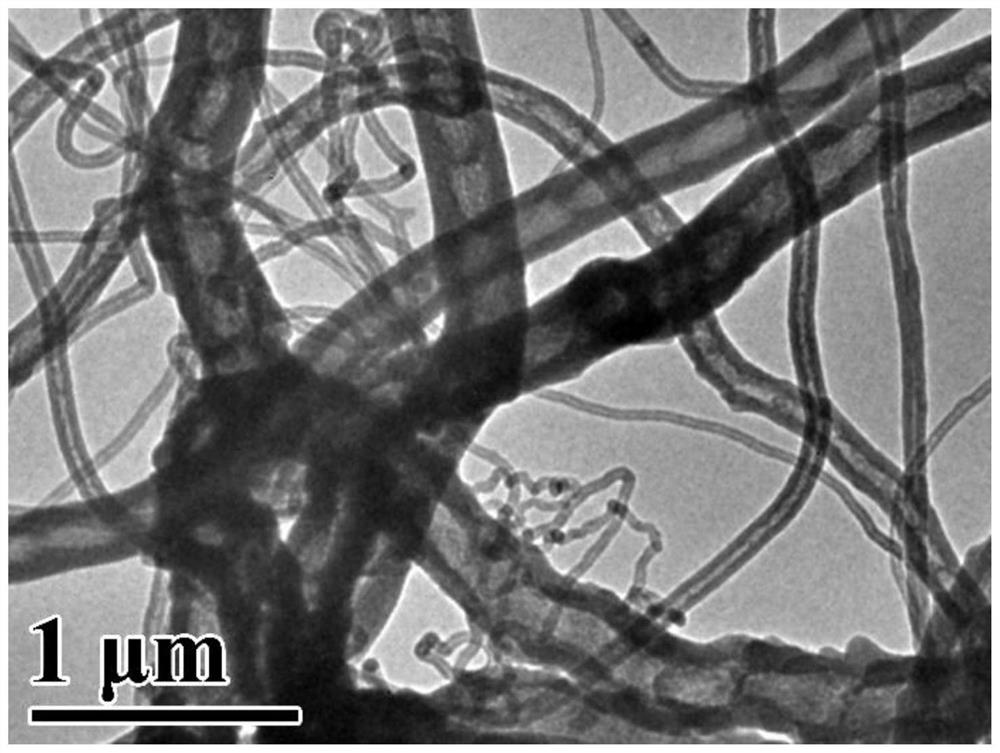 Carbon nanotube composite material with hierarchical structure and preparation method thereof