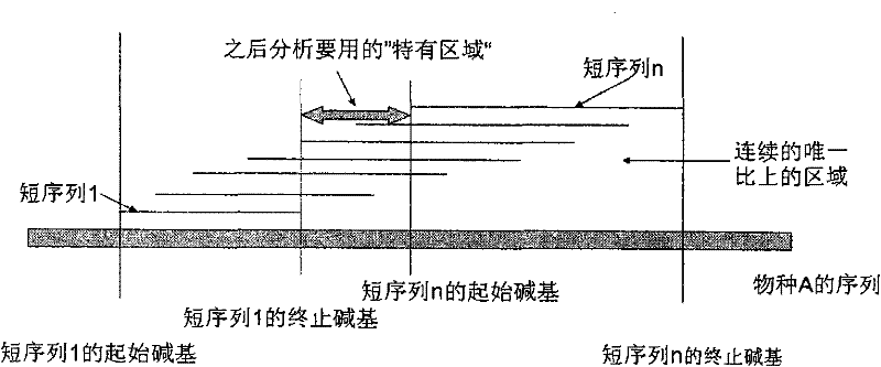 Environmental microorganism detection method and system