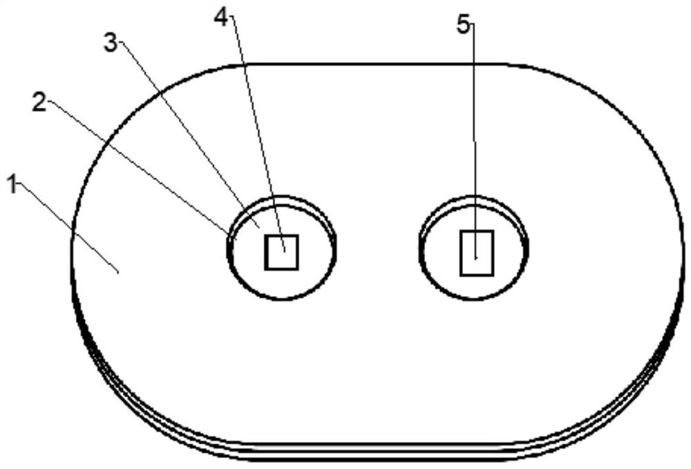 Portable vital sign detection device