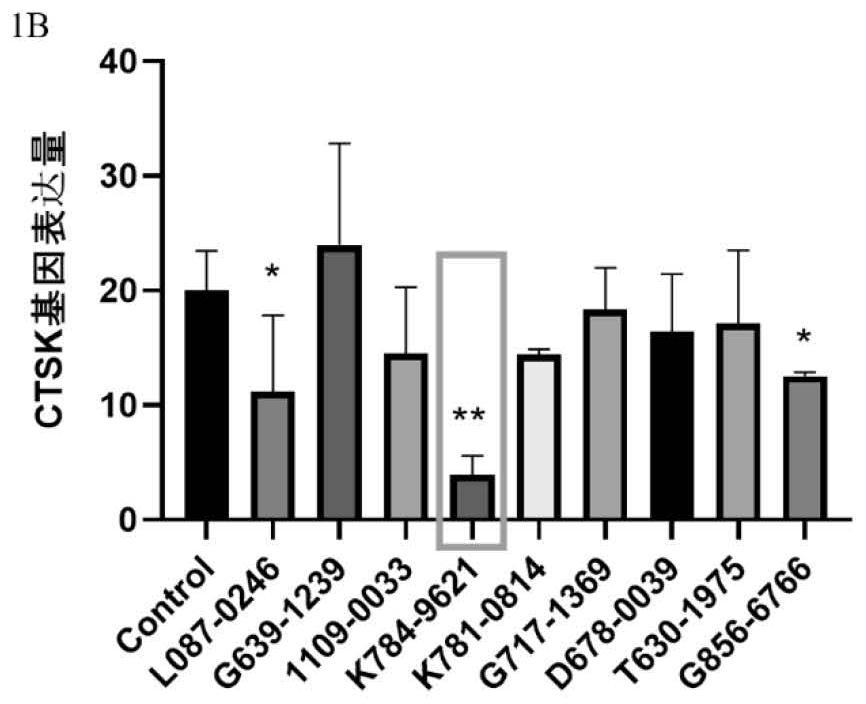 Aromatic compound as activator of neuroplexin-B2 and application of aromatic compound in preparation of medicine for treating osteoporosis