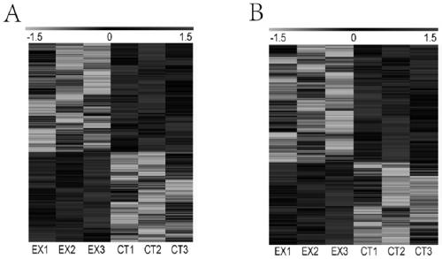 Application of lncRNA 11496 in diagnosis and treatment of toxoplasmosis