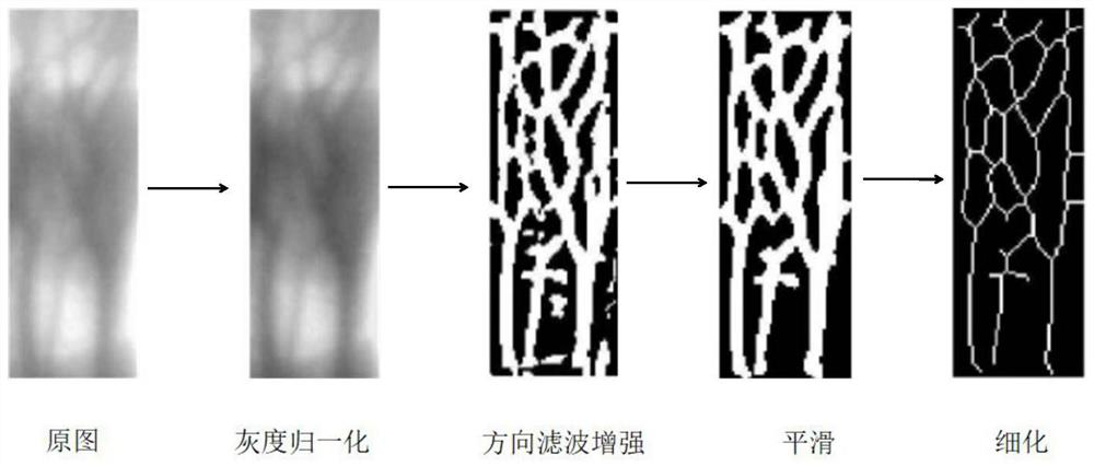 Finger vein biological key generation method based on deep neural network coding