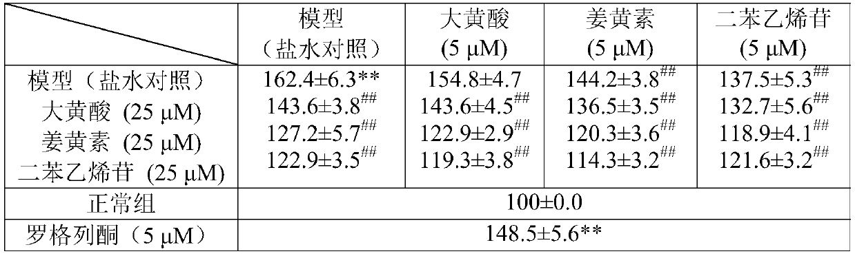 Application of rhein or curcumin in the preparation of drugs for preventing and/or treating diabetic nephropathy