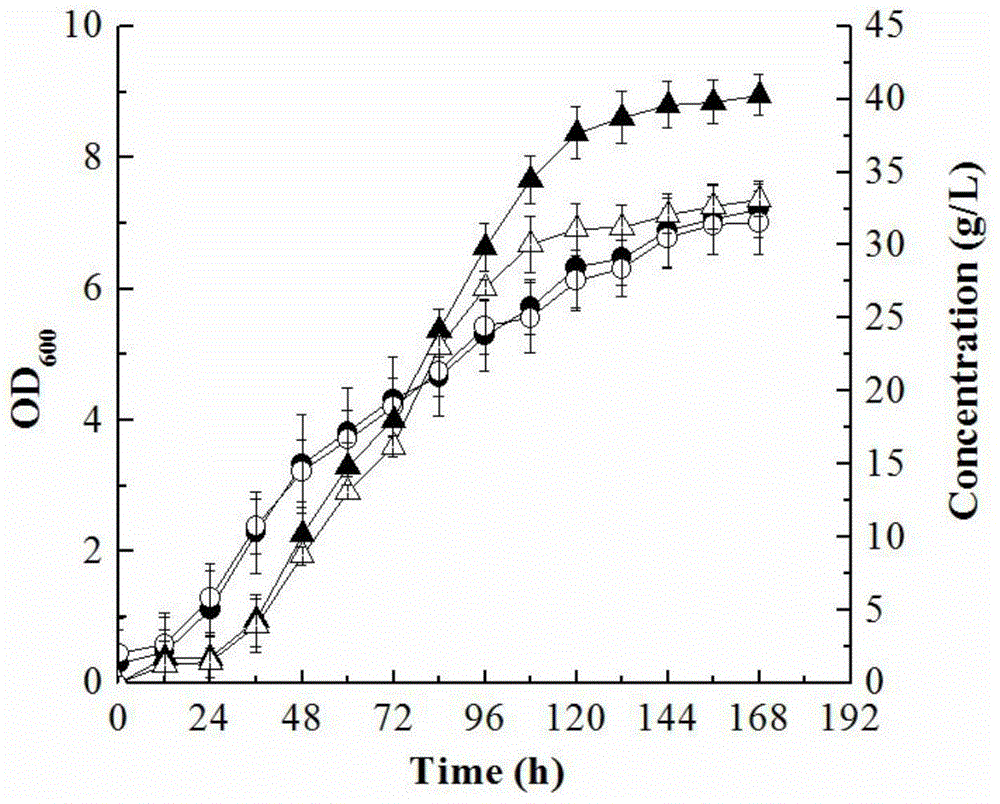 Method for improving gluconobacter oxydans for producing 2-keto-L-gulconic acid