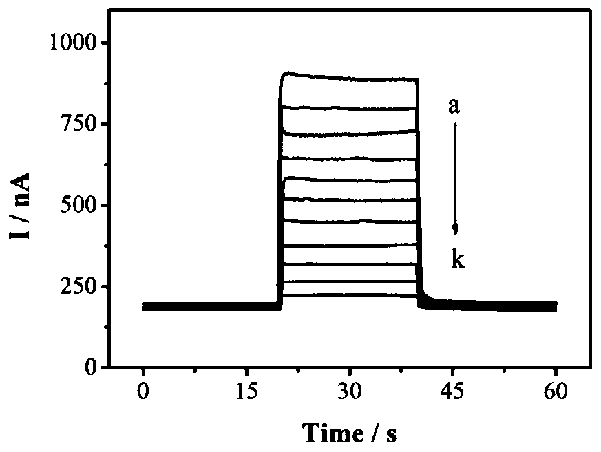 A photoelectrochemical biosensor for detecting histone acetyltransferase activity and its preparation method