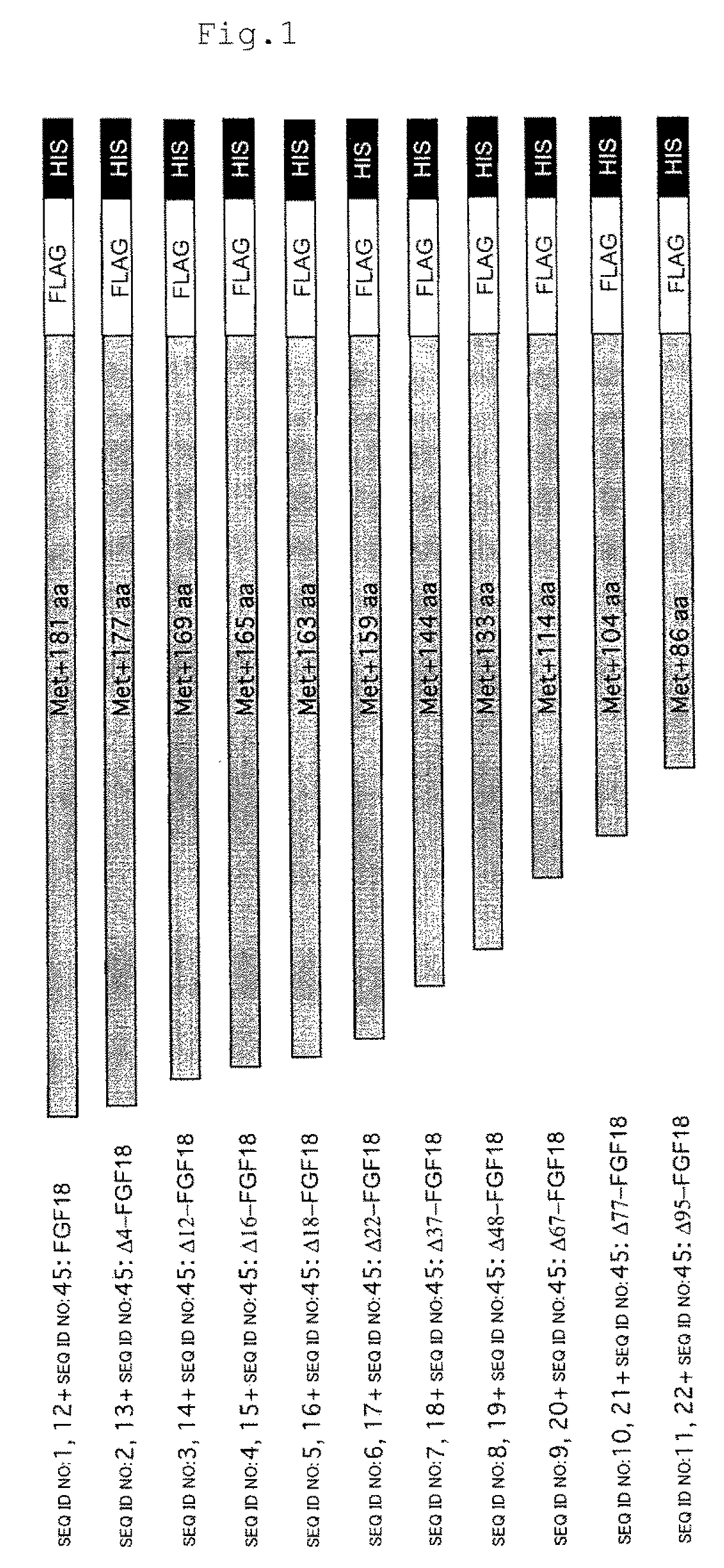 Isolated mutant protein of fibroblast growth factor 18 and pharmaceutical composition comprising the same