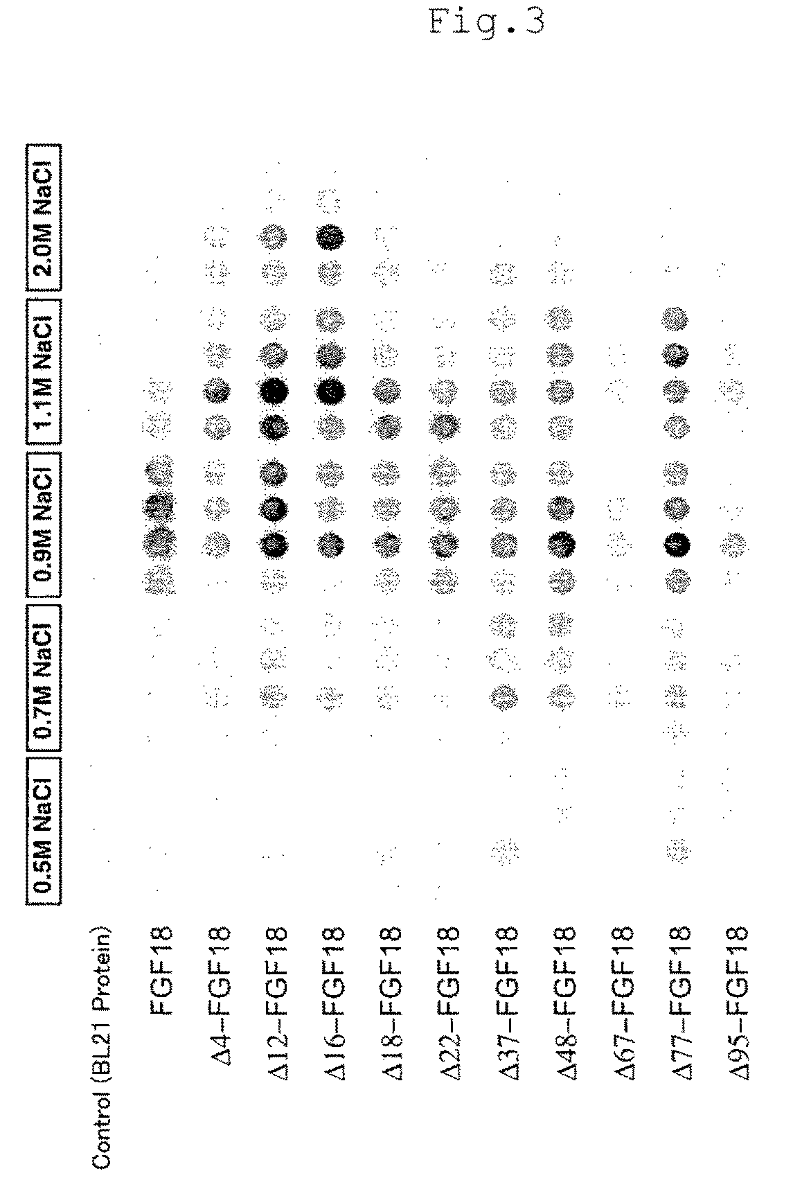 Isolated mutant protein of fibroblast growth factor 18 and pharmaceutical composition comprising the same