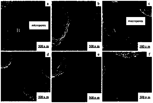 Method for improving density of foam titanium