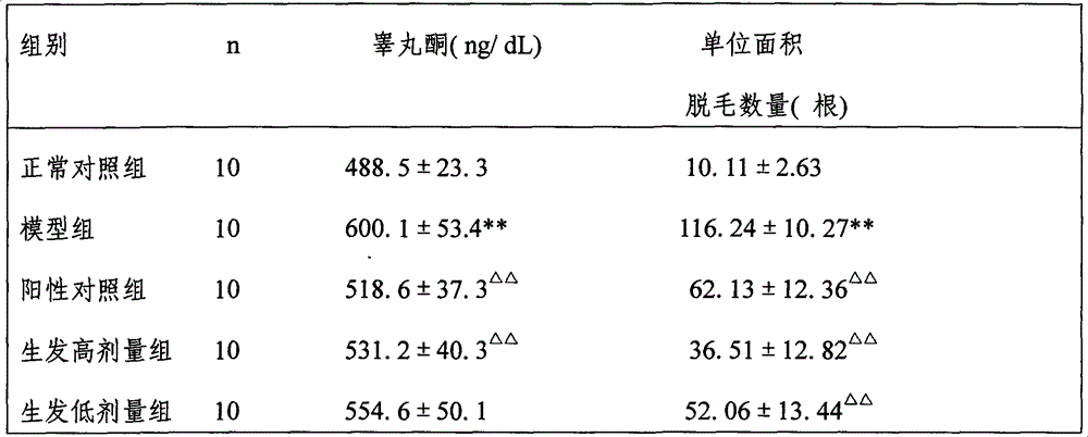 Traditional Chinese medicine composition for treating seborrheic alopecia and preparation method of same