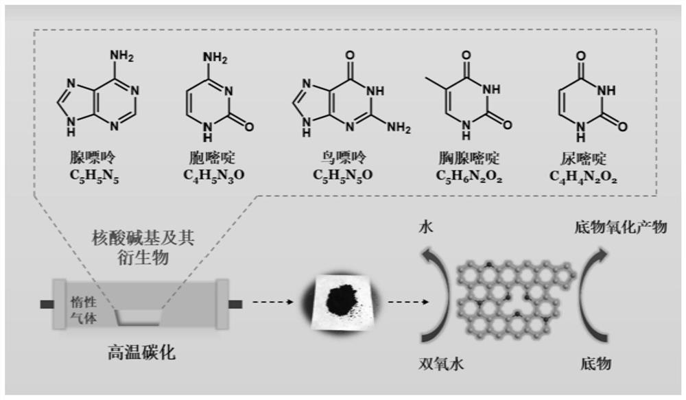 Nitrogen-doped carbon nanozymes based on nucleic acid bases or derivatives thereof, and preparation methods and applications thereof