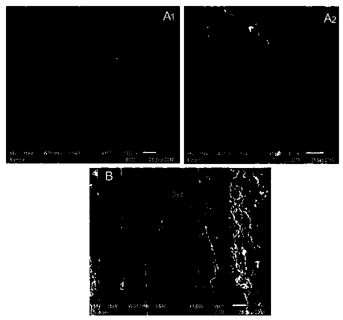 Method for improving mechanical properties of calcium sand through fiber reinforced and microbial curing