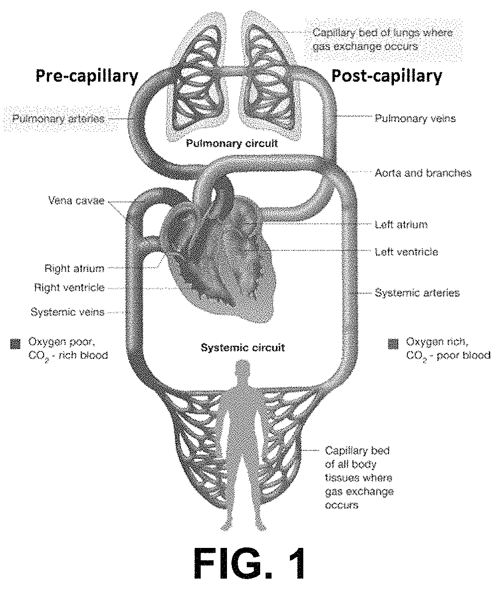 Methods for treatment of pulmonary hypertension