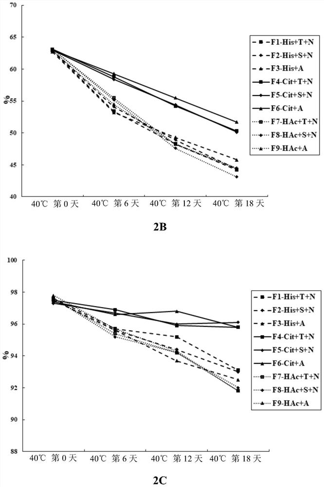 Liquid preparation containing anti-IL-17 antibody