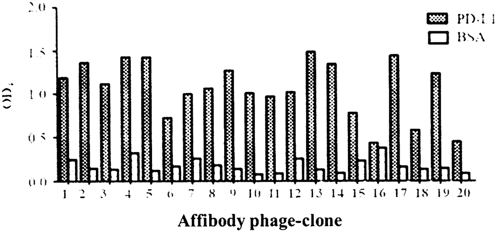 Programmed death receptor-ligand 1 (PD-L1) specific binding polypeptide and application thereof