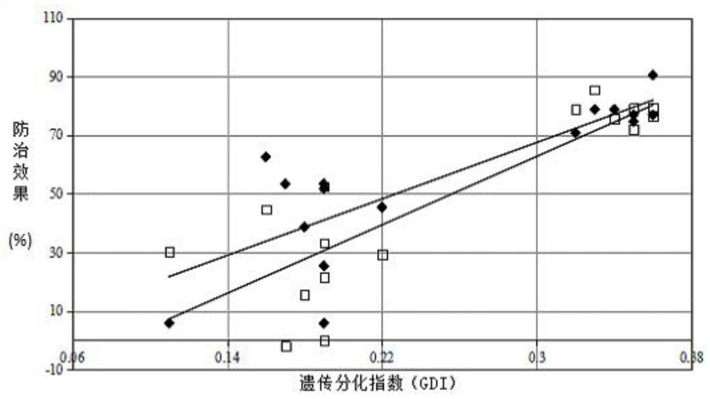 Method for determining genetic differentiation between rice mixed interplanting varieties by SSR markers