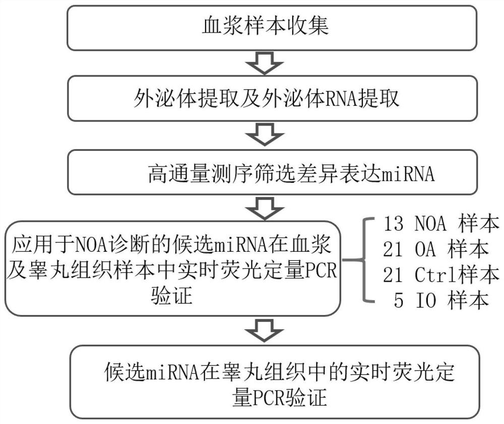 A plasma exosomal miRNA marker associated with the diagnosis of primary non-obstructive azoospermia and its application