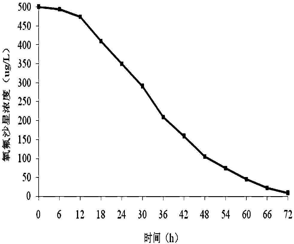 A strain of Pallidum bacterium degrading ofloxacin and its application