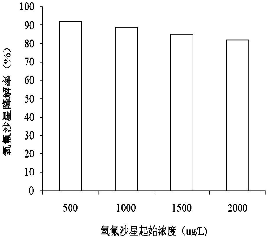 A strain of Pallidum bacterium degrading ofloxacin and its application