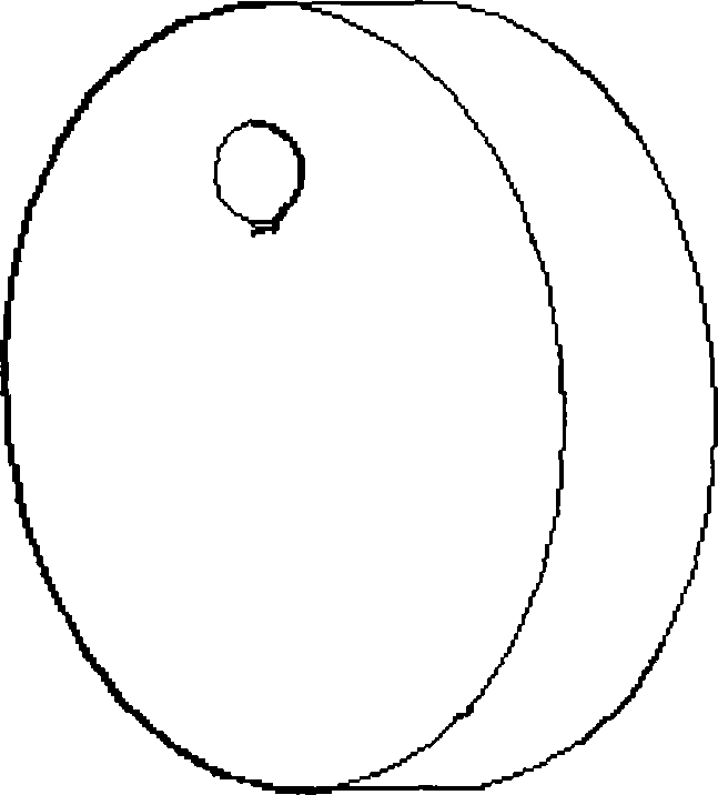 Helical teeth elliptic gear as well as method for three-dimensional model-building accurately and entity shaping