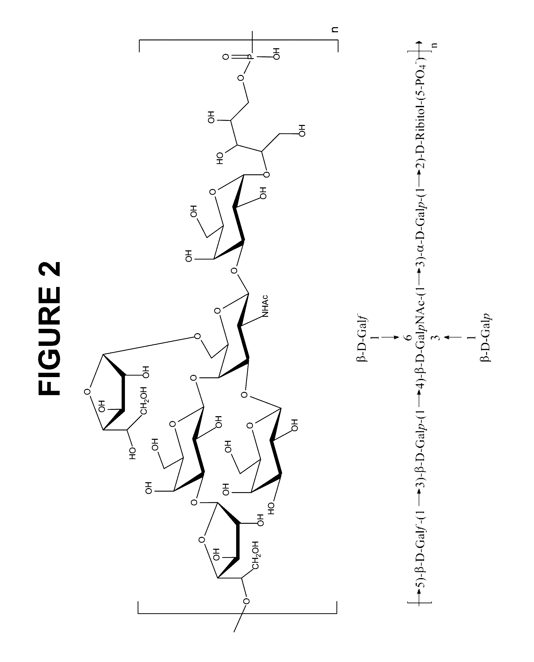 Immunogenic compositions comprising conjugated capsular saccharide antigens and uses thereof