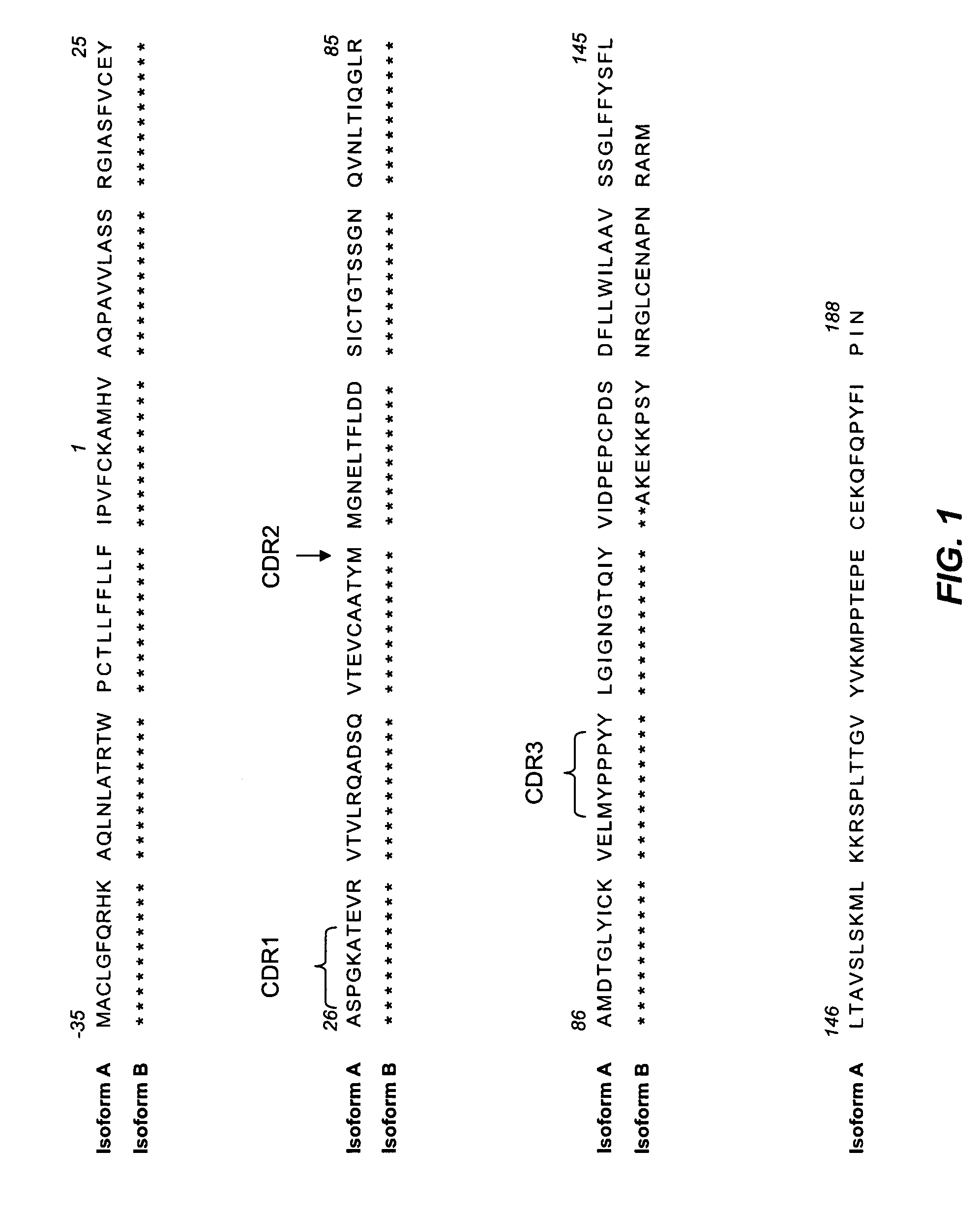 Complete human monoclonal IgG4lambda specific for CTLA-4 and uses thereof for detection of soluble CTLA-4 and isolation of regulatory cells