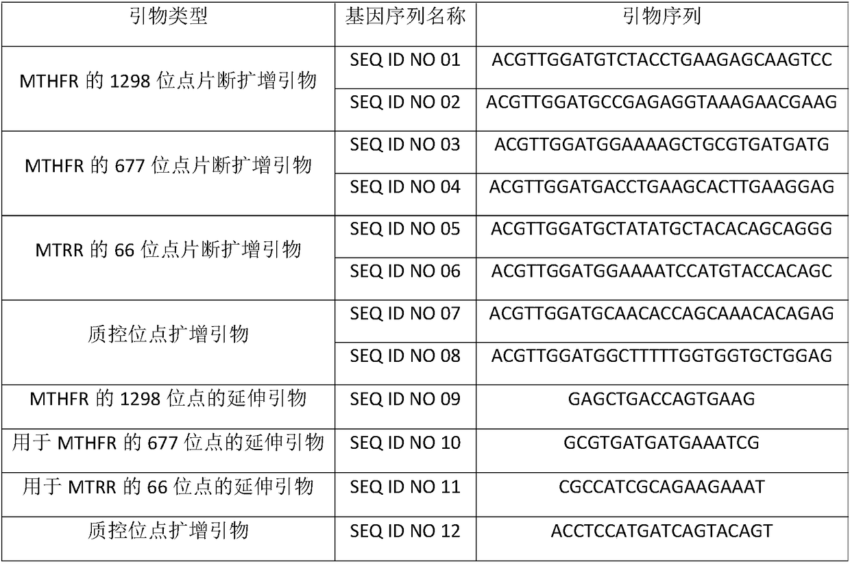 Method for typing genes associated with folic acid metabolism and kit
